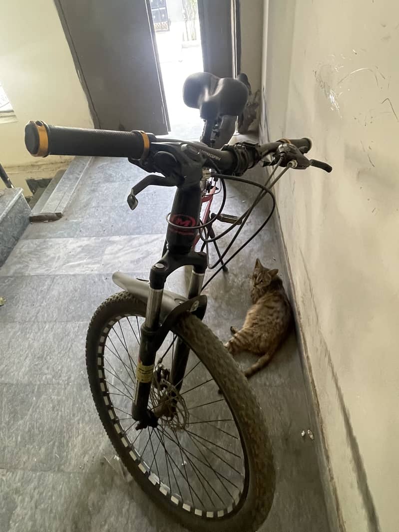 bycycle 0