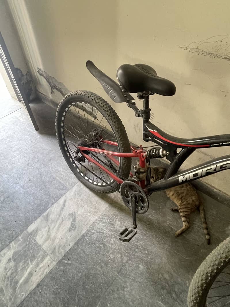 bycycle 1