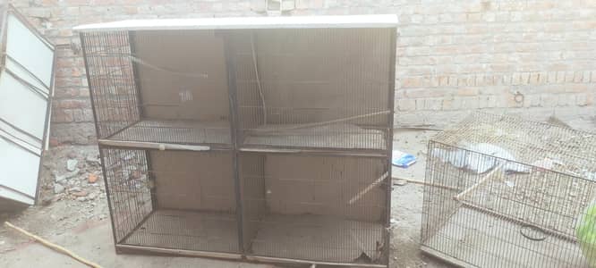 pinjray for sale