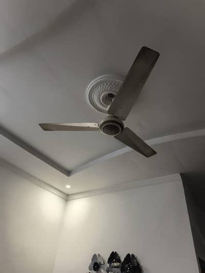 belvin fan for sale