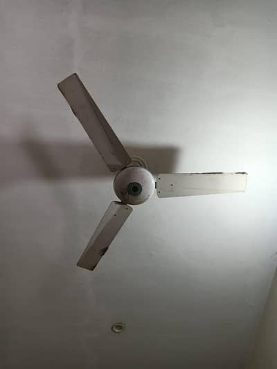 ceiling fan urgent sale 2 fan