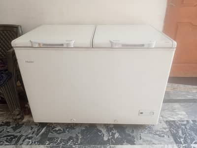 Haier | REF + FRZ | Excellent Cooling Condition HDF-385ES