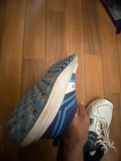 New CA pro 8 spirts shoes