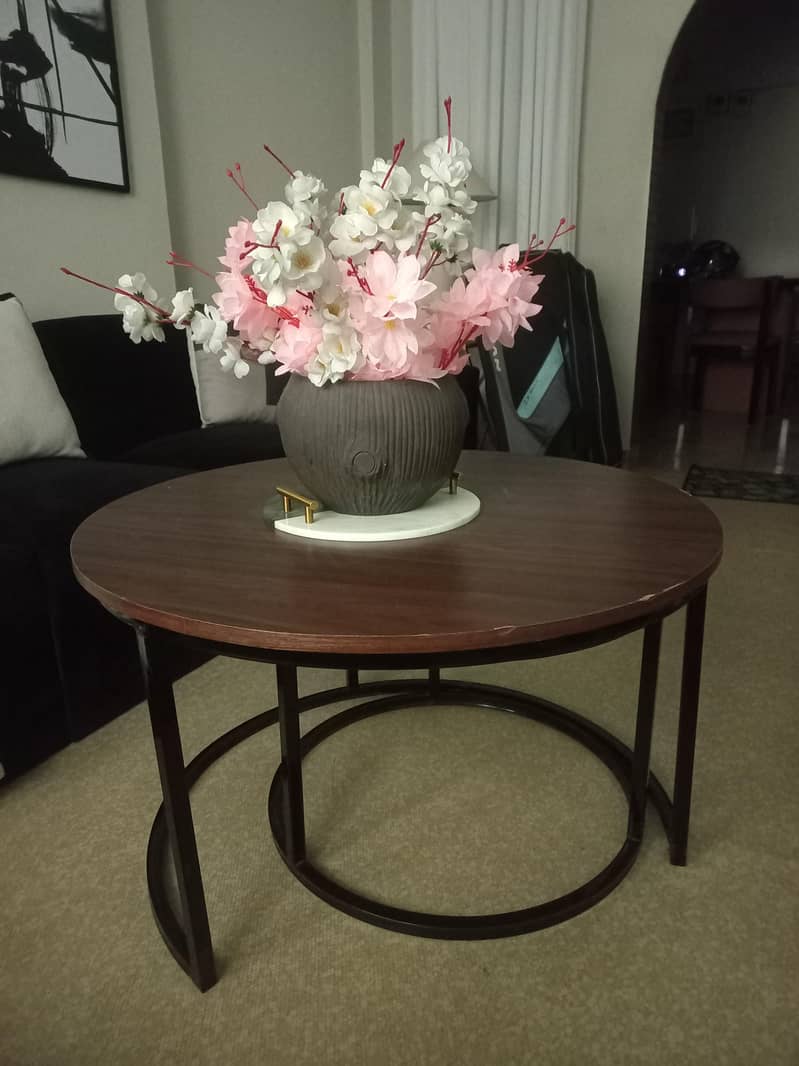 coffee table 0