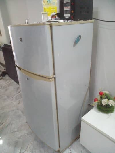 Used PEL medium size Refrigerator