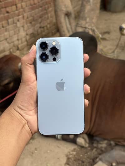 iPhone 13 Pro Max
