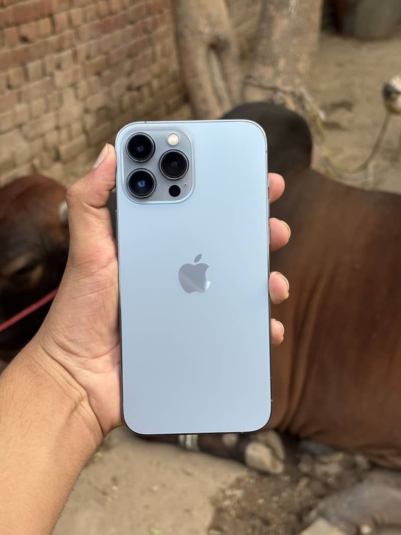iPhone 13 Pro Max 0