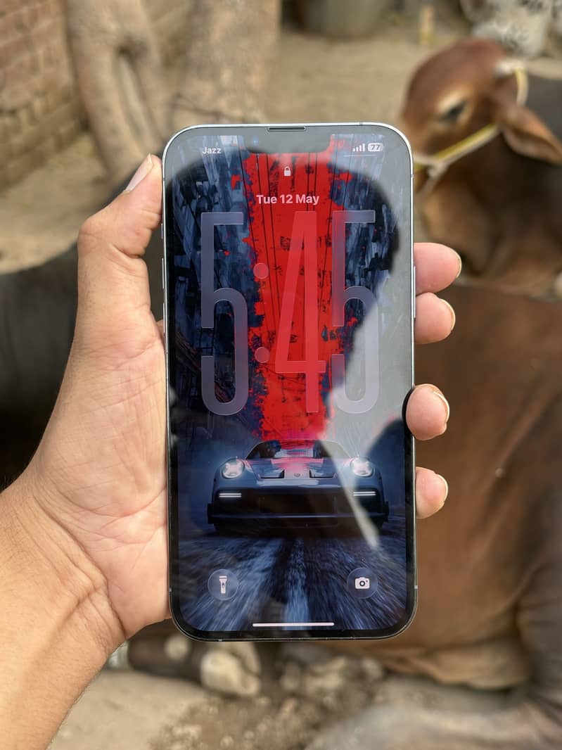 iPhone 13 Pro Max 2