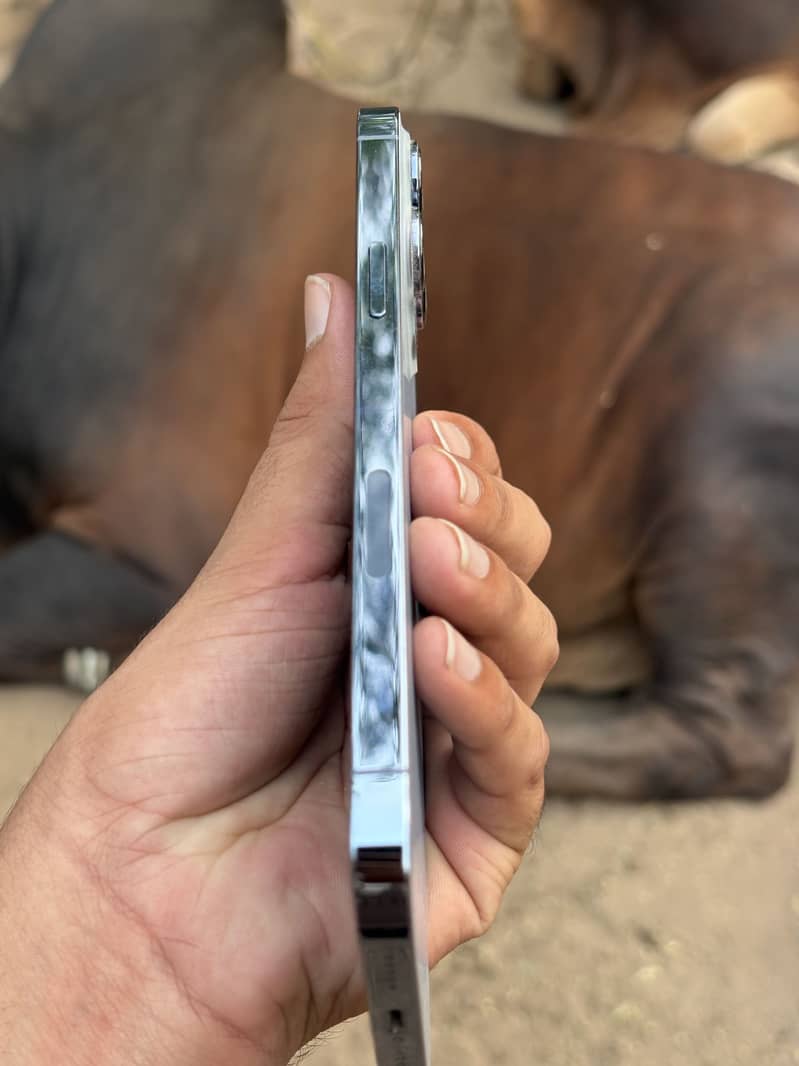 iPhone 13 Pro Max 4