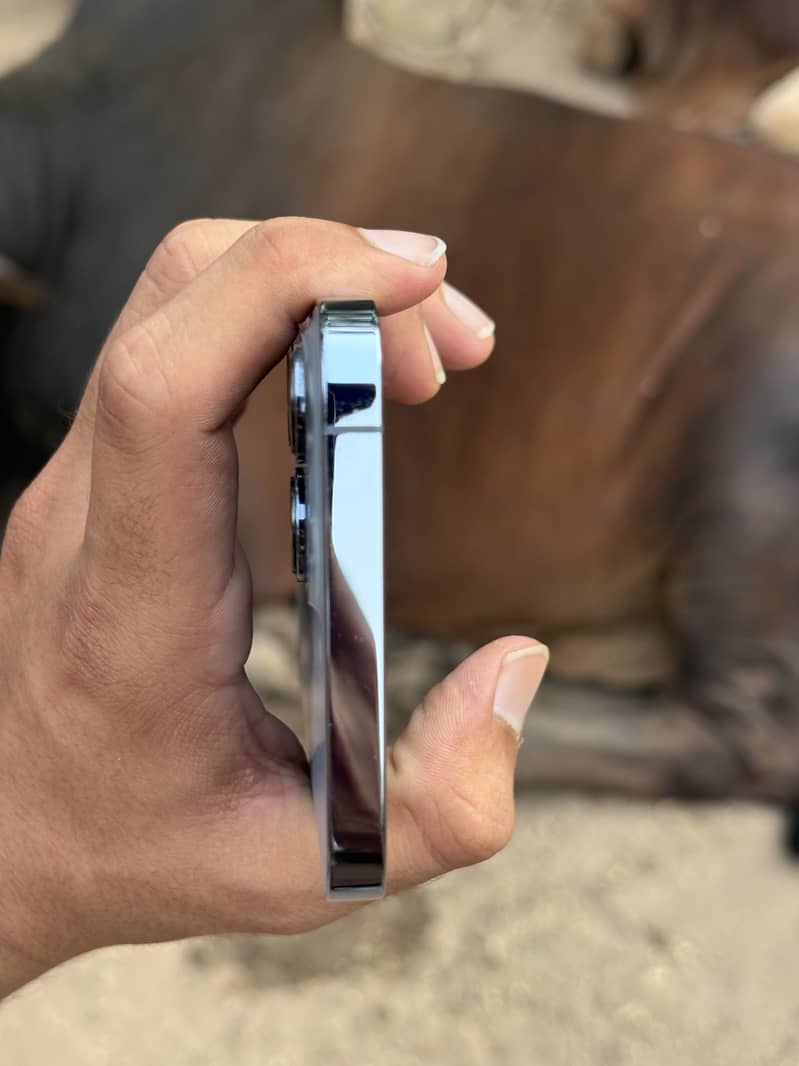 iPhone 13 Pro Max 5