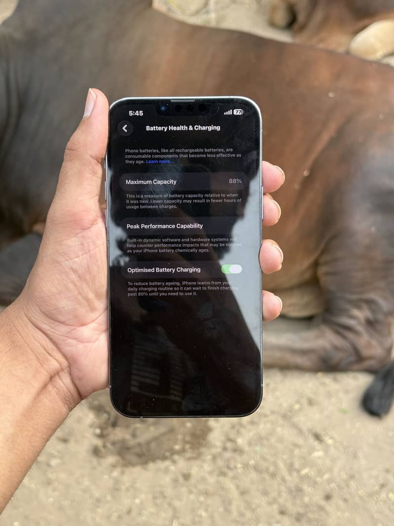 iPhone 13 Pro Max 6