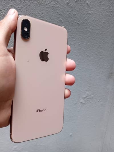 Apple iPhone XS Max dual physical sim pta