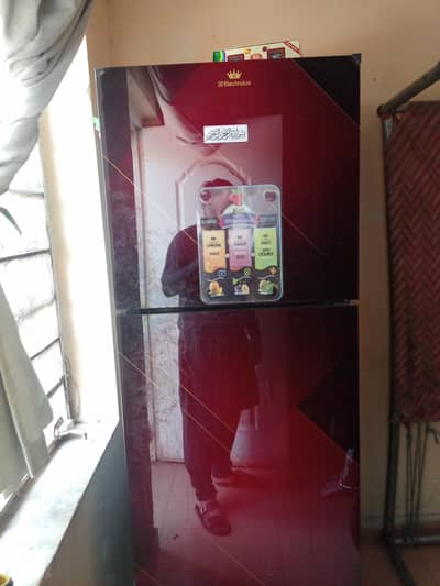 Electrolux Freege