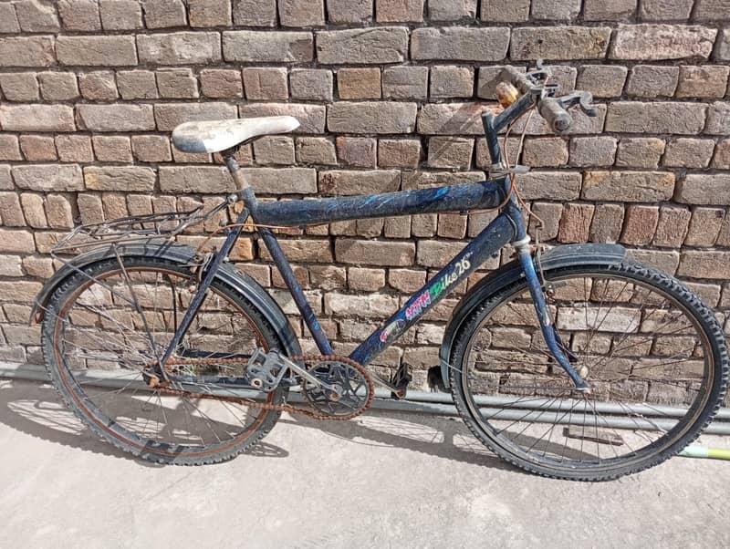 bicycle 2