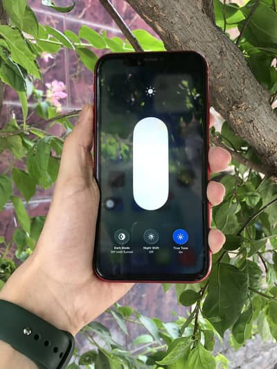 Iphone 11 non pta jv