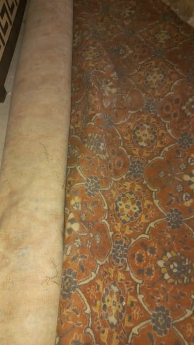 Carpet 18*15