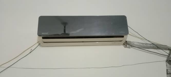 1.5 orint split for sell