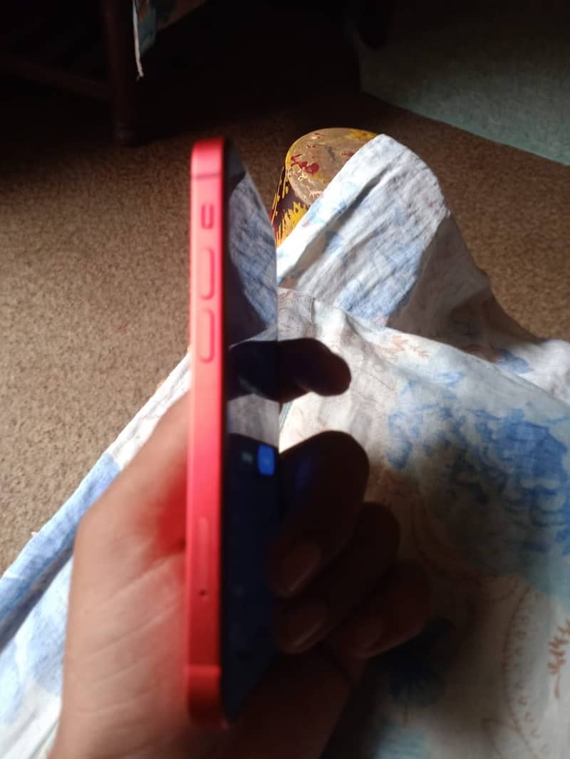 iPhone 12 mini 1