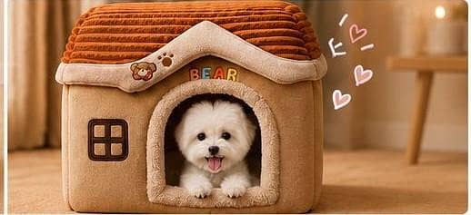 Pet house