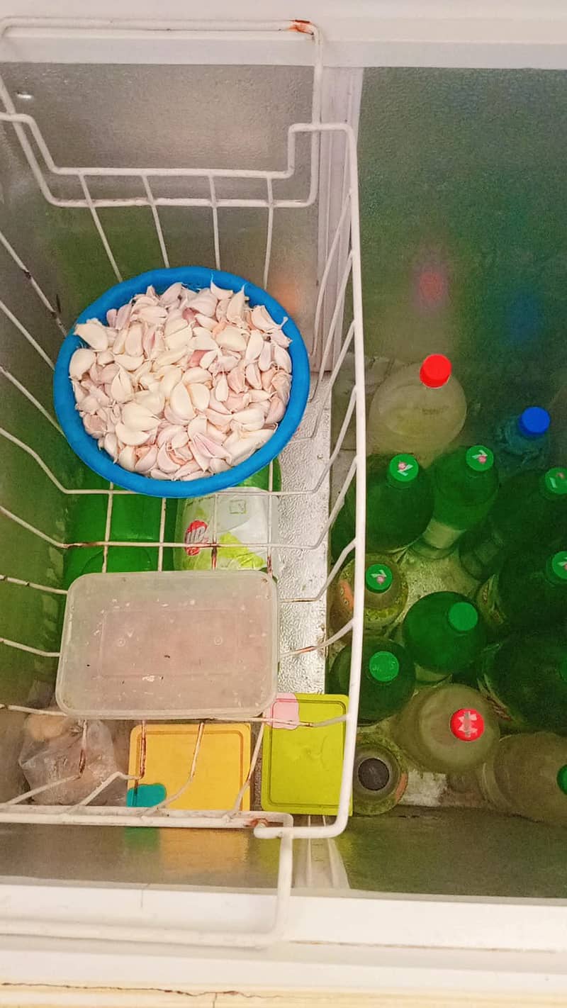 Waves D freezer 4