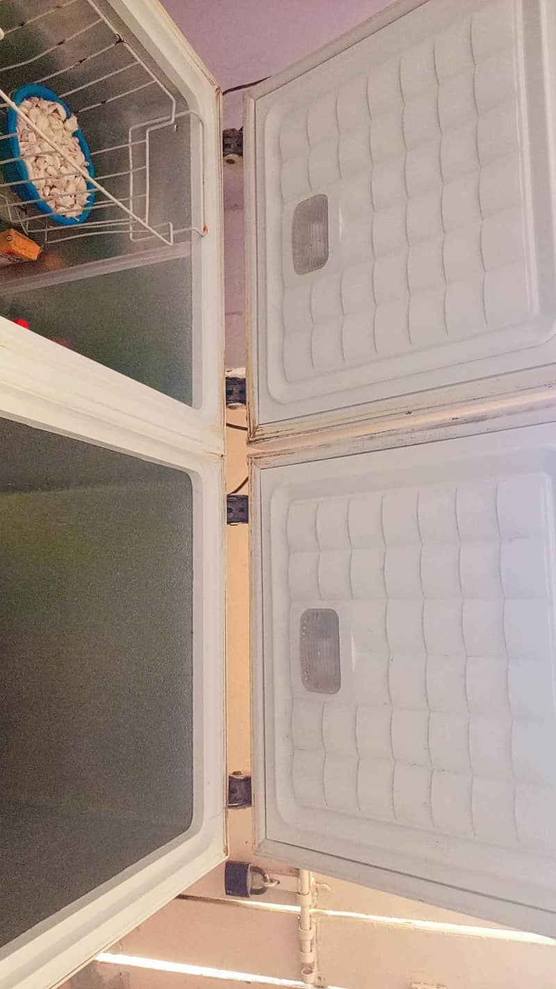 Waves D freezer 5