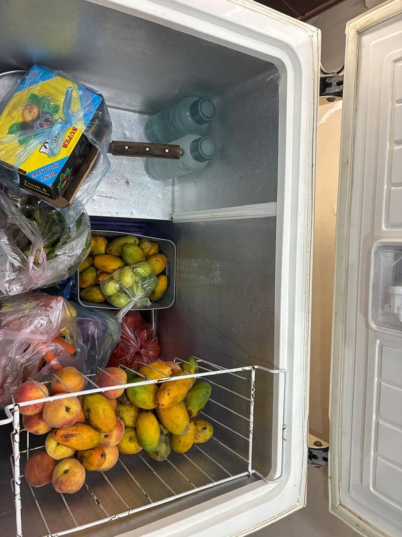 Deep Freezer 3