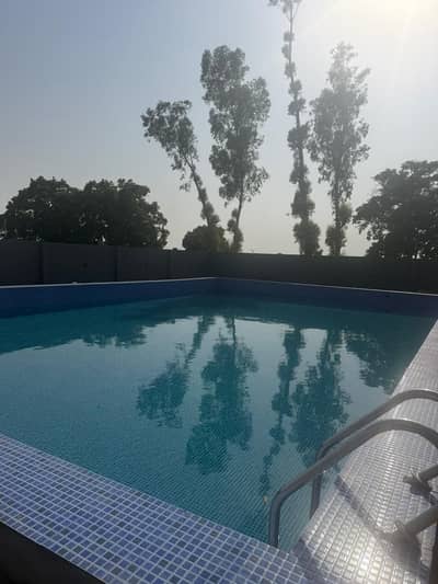 Sunday pool for rent