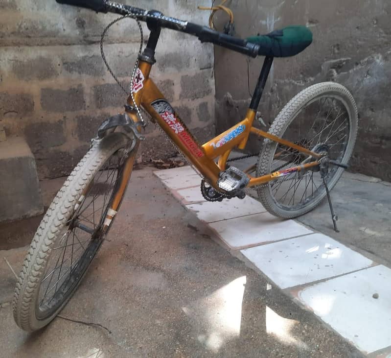 bicycle 1