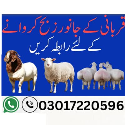 Professional Butcher Services in FSD | Fresh & Hygienic Qasai Service