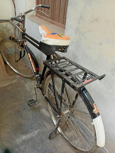 Sohrab cycle 22 inch