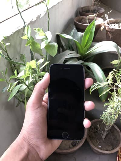 iphone 7 pta aprrowed