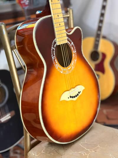 professional acoustic guitar
