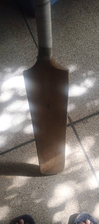 cricket bat