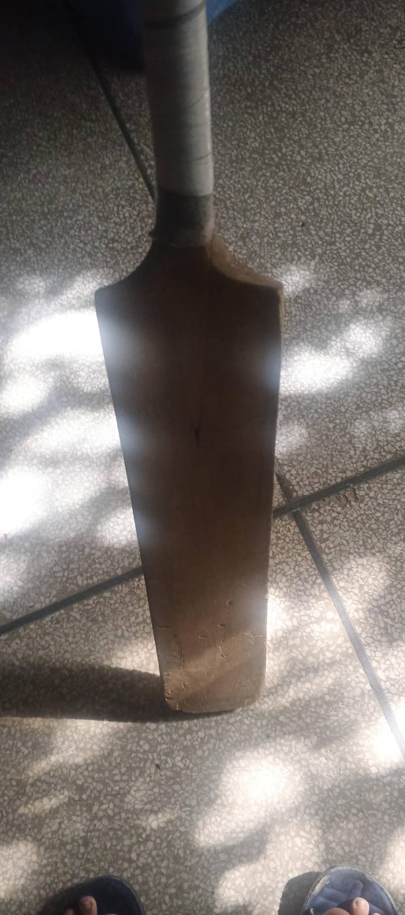 cricket bat 0