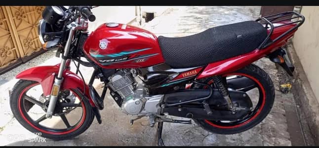 YBz DX 2024 03219599697