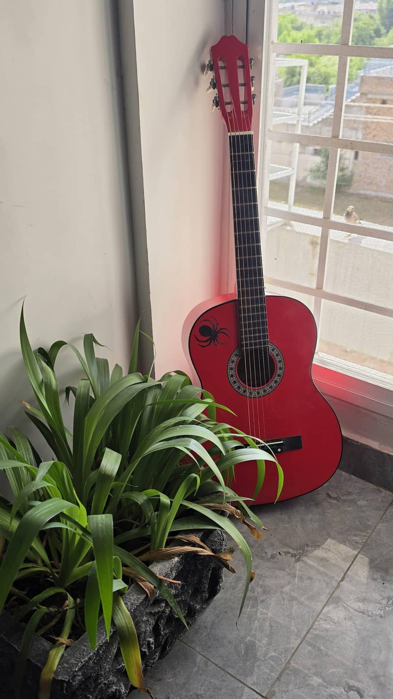 guitar 5