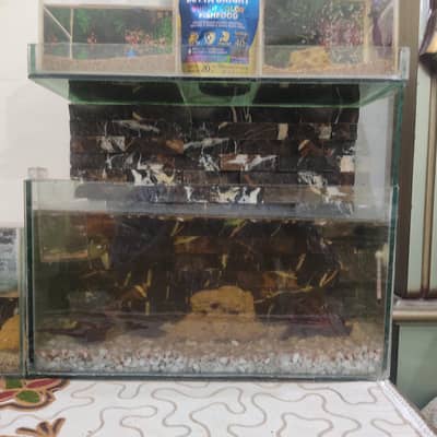 AQUARIUM FOR SALE
