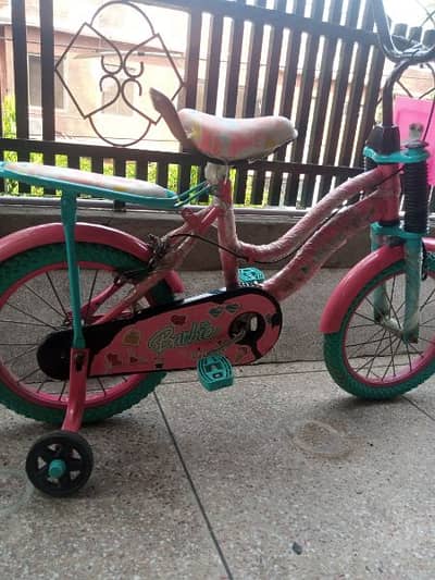 bicycle with supporting wheels