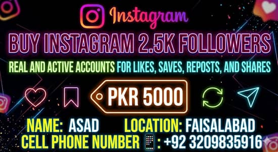 Instagram Engagement Service