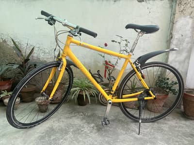 Japanese Giant Escape R3