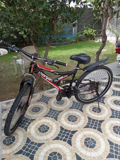 Morgan cycle size 26 all ok
