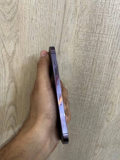 14 pro 256gb pta