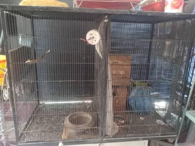 Kashmir rah perrot Cage available