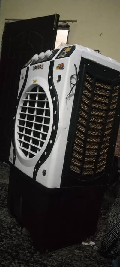 12 v cooler