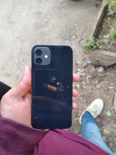 iPhone 12 256 GB
