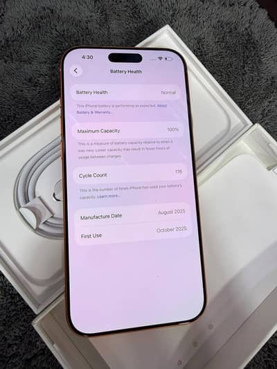 17 pro max 512gb orange