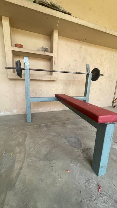 Complete Home Gym Setup for sale-Bench Press, Dumbbells