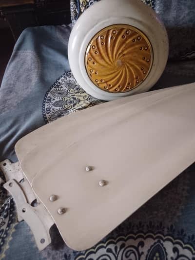 2 fans 1 royal 1 saprco.  excellent condition