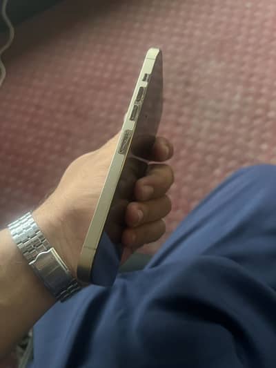iPhone 13 pro max pta approved