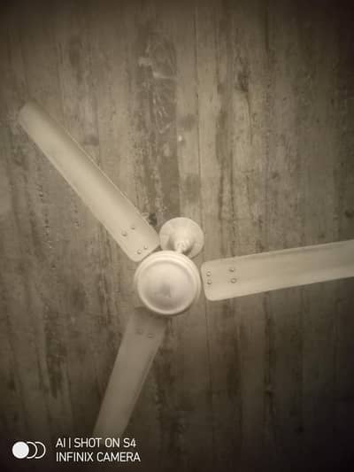 fan for sale